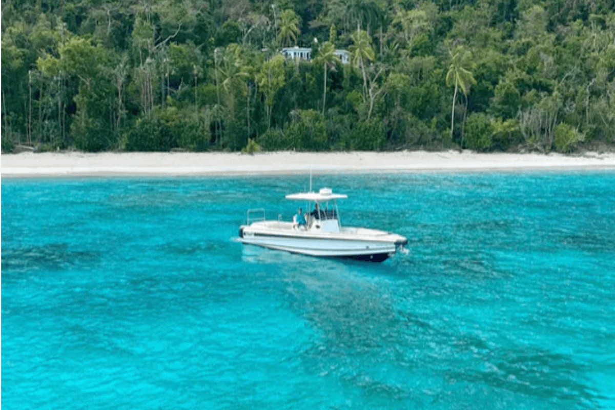 Island Chaser CVLA
