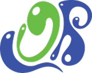 Ocean Runner Logo