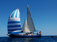 Daphnae Sailing yacht CVLA
