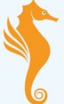 seahorse-logo-e1611371644943